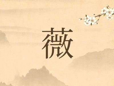 薇名字|带薇字的女孩名字